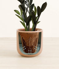 Load image into Gallery viewer, Striped Peach Pink stand:all