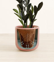 Load image into Gallery viewer, Striped Rose Pink stand:all