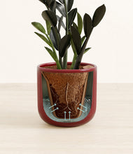 Load image into Gallery viewer, Striped Cherry Red stand:all