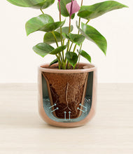 Load image into Gallery viewer, Hammered Peach Pink stand:all