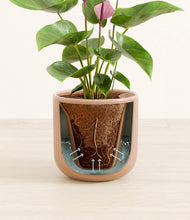 Load image into Gallery viewer, Striped Peach Pink stand:all