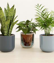 Load image into Gallery viewer, Pebble Shore stand:all