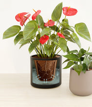 Load image into Gallery viewer, Hazy Skies stand:all