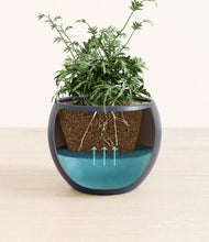 Load image into Gallery viewer, Deep Navy