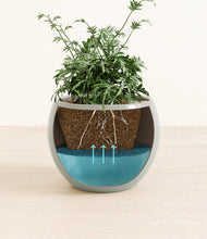 Load image into Gallery viewer, Deep Ocean