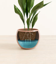 Load image into Gallery viewer, Calm Rose