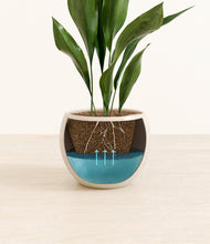 Load image into Gallery viewer, Shiny EggWhite