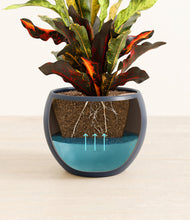 Load image into Gallery viewer, Deep Navy