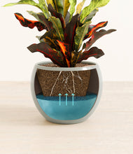 Load image into Gallery viewer, Deep Ocean