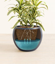 Load image into Gallery viewer, Deep Navy