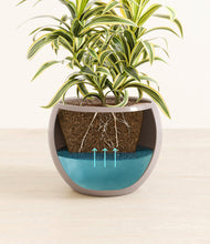 Load image into Gallery viewer, Winter Clouds