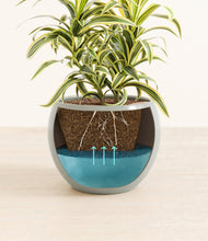 Load image into Gallery viewer, Deep Ocean