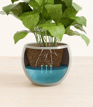 Load image into Gallery viewer, Deep Ocean