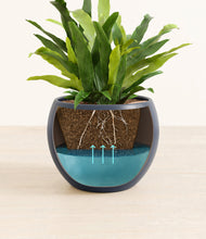 Load image into Gallery viewer, Deep Navy