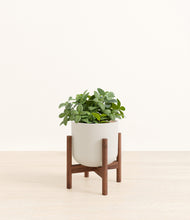 Load image into Gallery viewer, Natural Bamboo stand:walnut