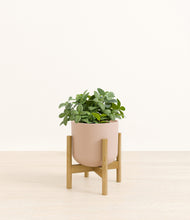 Load image into Gallery viewer, Sandy Pink stand:bamboo