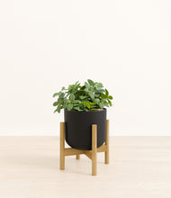 Load image into Gallery viewer, Stone Black stand:bamboo