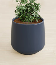 Load image into Gallery viewer, Deep Navy stand:all