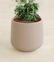 Load image into Gallery viewer, Eternal Gray stand:all