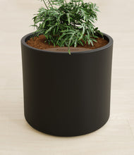 Load image into Gallery viewer, Black stand:all