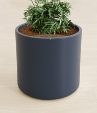 Load image into Gallery viewer, Deep Navy stand:all