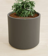 Load image into Gallery viewer, Dark Olive stand:all