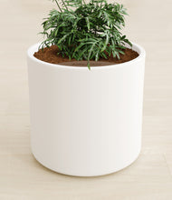 Load image into Gallery viewer, White stand:all