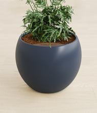 Load image into Gallery viewer, Deep Navy stand:all