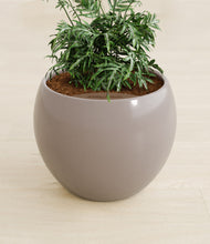 Load image into Gallery viewer, Winter Clouds stand:all