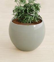 Load image into Gallery viewer, Deep Ocean stand:all