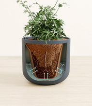 Load image into Gallery viewer, Iron Gray stand:all