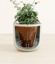 Load image into Gallery viewer, Natural Bamboo stand:all