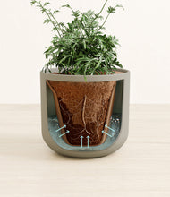Load image into Gallery viewer, Sage Green stand:all