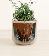 Load image into Gallery viewer, Sandy Pink stand:all