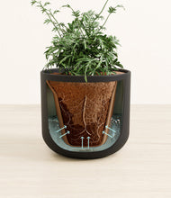 Load image into Gallery viewer, Stone Black