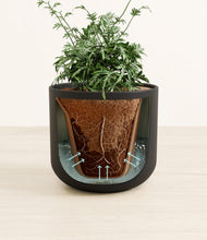 Load image into Gallery viewer, Stone Black stand:all