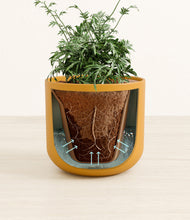 Load image into Gallery viewer, Sunset Orange