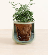 Load image into Gallery viewer, Turquoise stand:all