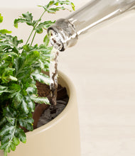 Load image into Gallery viewer, Almond Green stand:all