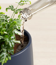 Load image into Gallery viewer, Deep Navy stand:all