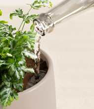 Load image into Gallery viewer, Eternal Gray stand:all