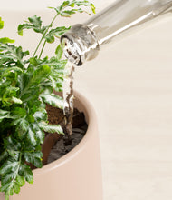 Load image into Gallery viewer, Gentle Pink stand:all