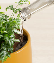 Load image into Gallery viewer, Mustard stand:all