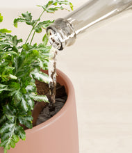 Load image into Gallery viewer, Calm Rose stand:all