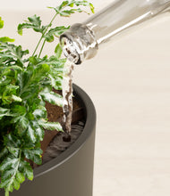 Load image into Gallery viewer, Dark Olive stand:all