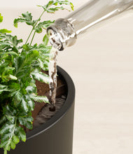 Load image into Gallery viewer, Black stand:all