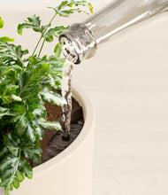 Load image into Gallery viewer, Cream stand:all