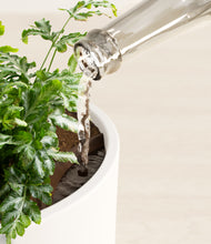 Load image into Gallery viewer, White stand:all