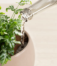 Load image into Gallery viewer, Desert Brown stand:all