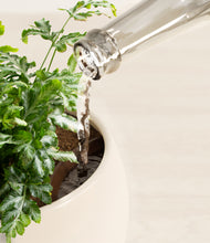 Load image into Gallery viewer, Shiny EggWhite stand:all